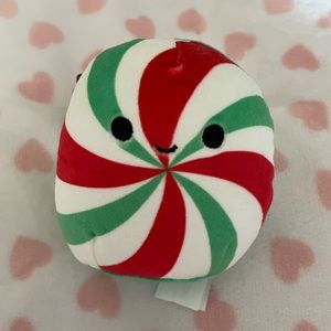 4 inch mint squishmallow